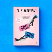 bildungsroman contemporan