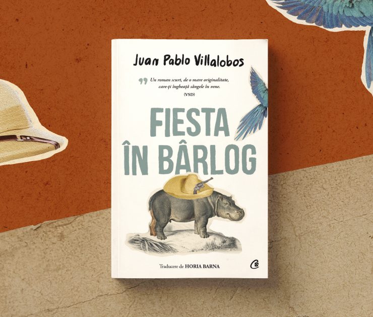 Ilustratie de Gabi Toma